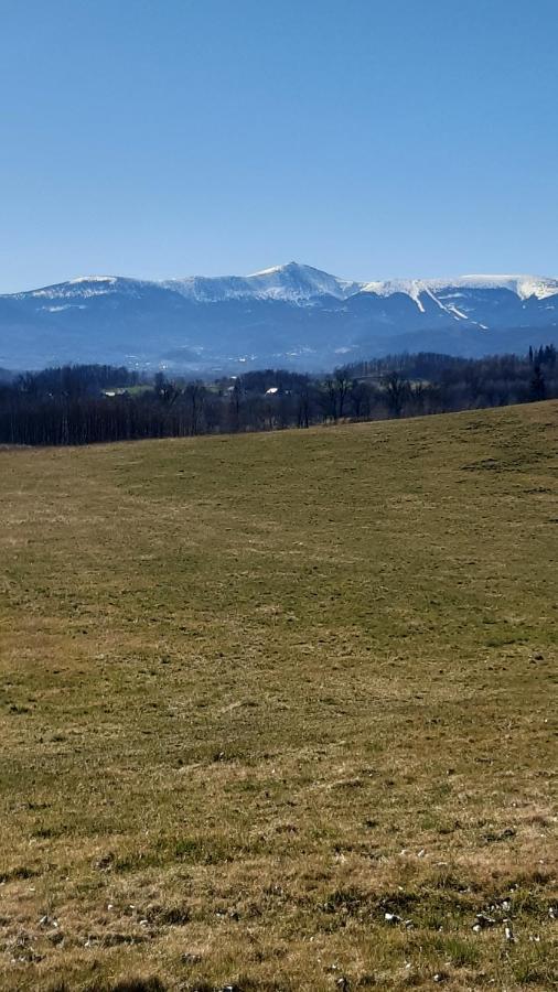 Przytulne Na Poddaszu Jelenia Góra Buitenkant foto